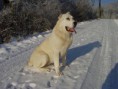 /album/fotogaleria/mix-135-jpg/